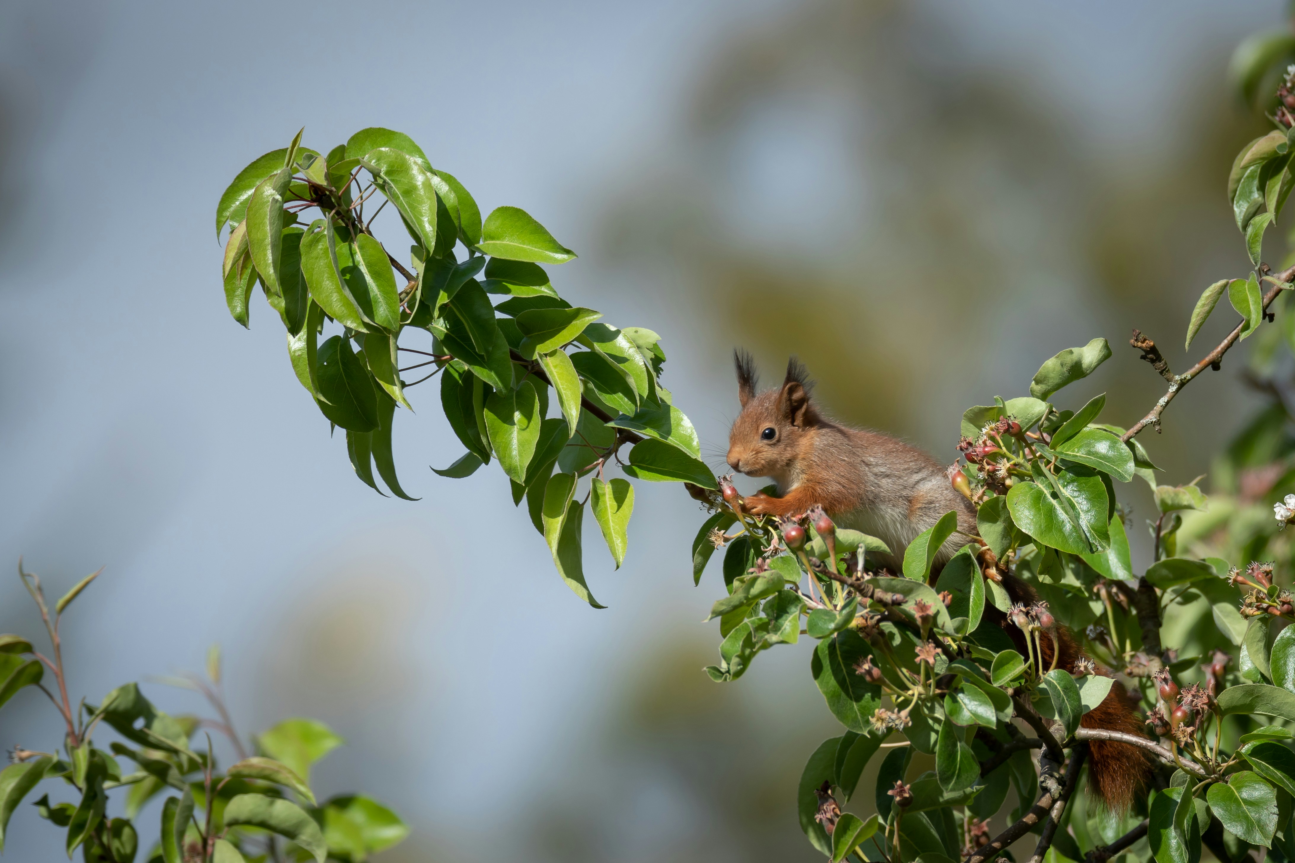 Photo by vincentvanzalinge