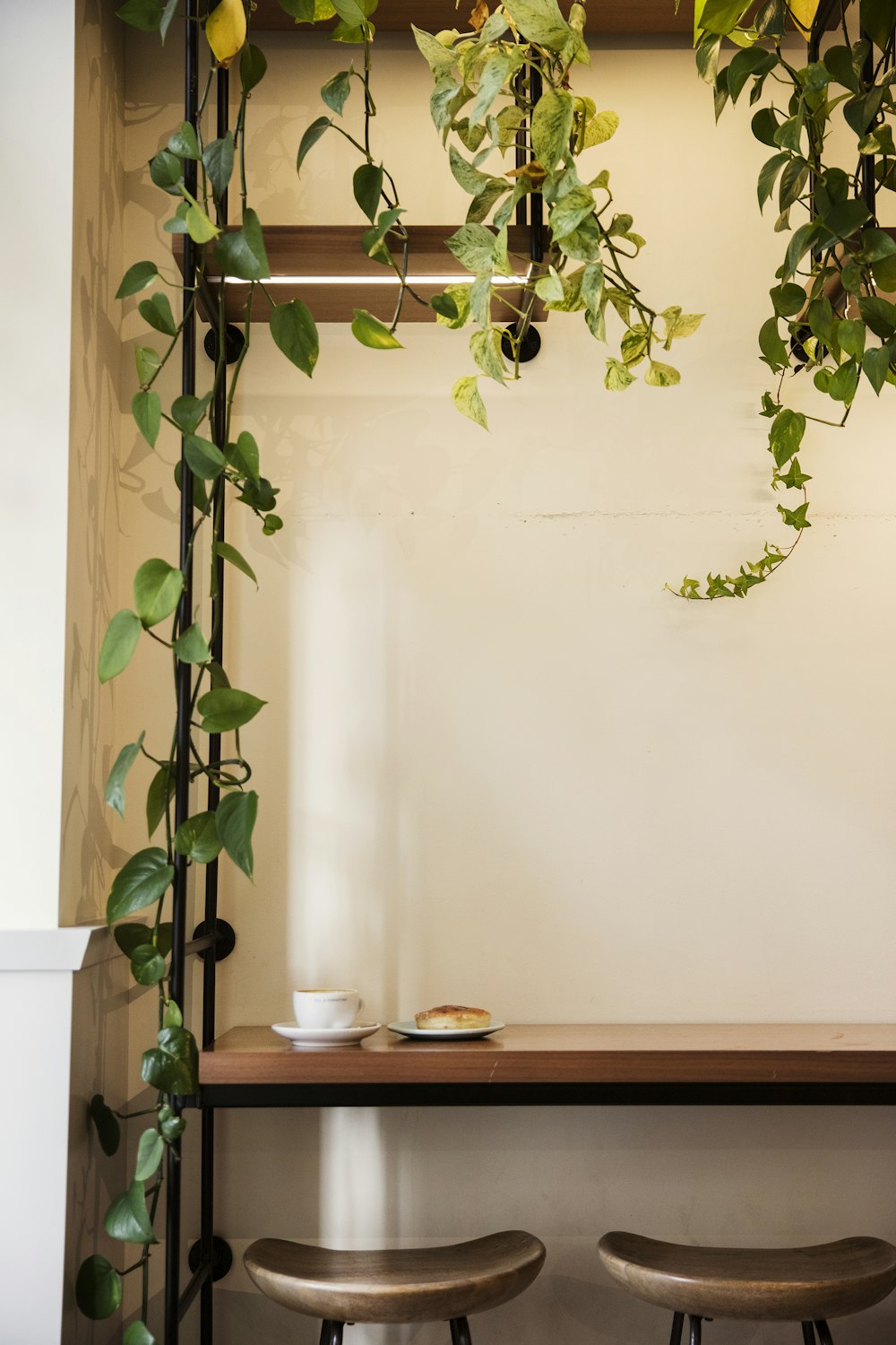 茶色の木製のテーブルに緑の植物
