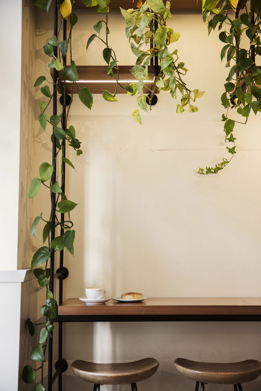 観葉植物が垂れる窓辺の客席とコーヒー