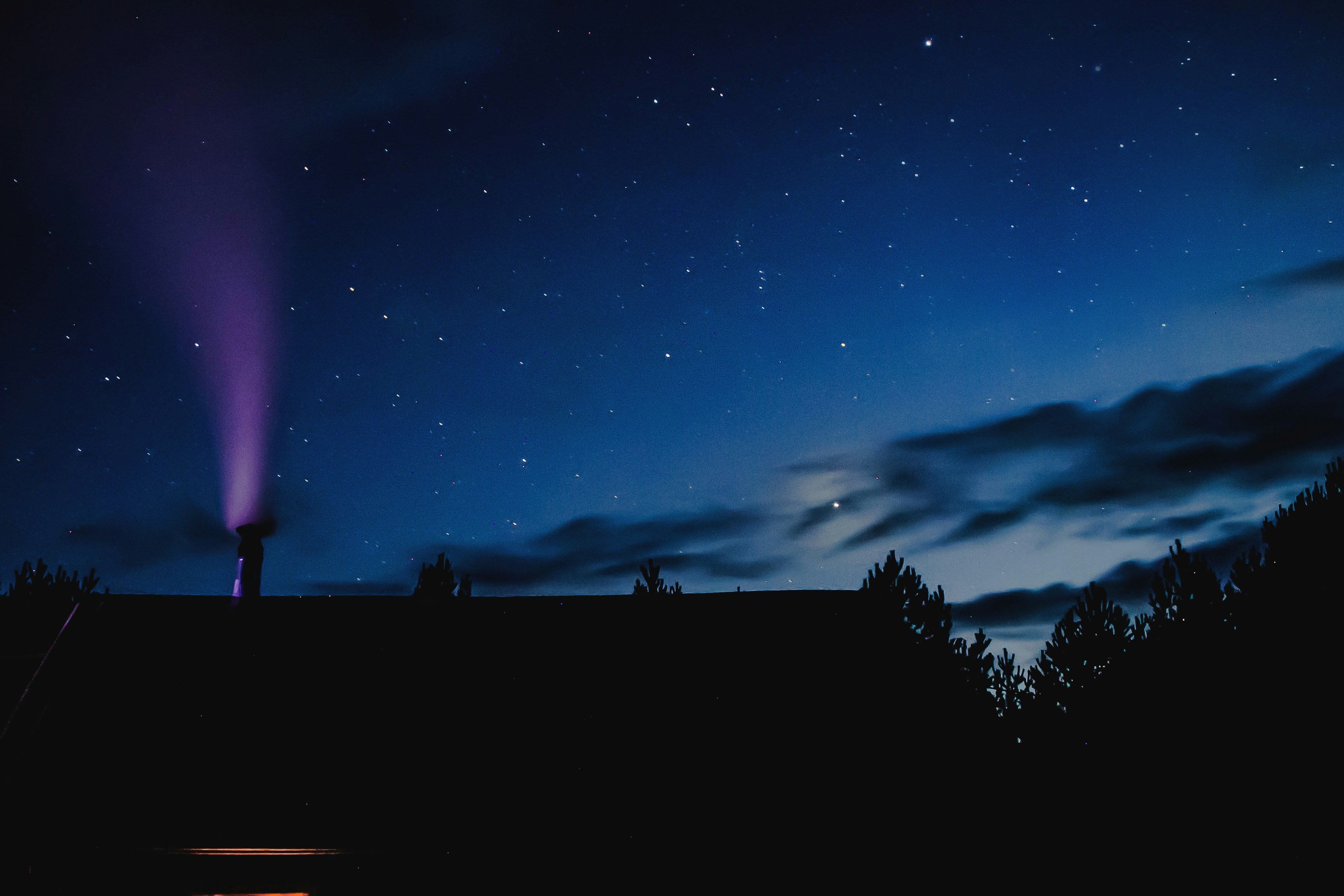 silueta de árboles bajo el cielo azul durante la noche