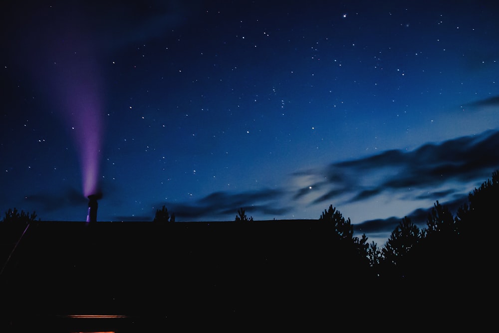 silhouette of trees under blue sky during night time