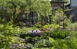 A lush garden filled with a variety of plants and flowers in vibrant colors. Tall green trees provide shade, while an assortment of shrubs and flowering plants, including pink and purple blossoms, create a rich tapestry of greenery. A small structure with a decorative screen can be seen in the background, adding an element of architecture. Sunlight filters through the canopy, casting dappled light on the foliage.