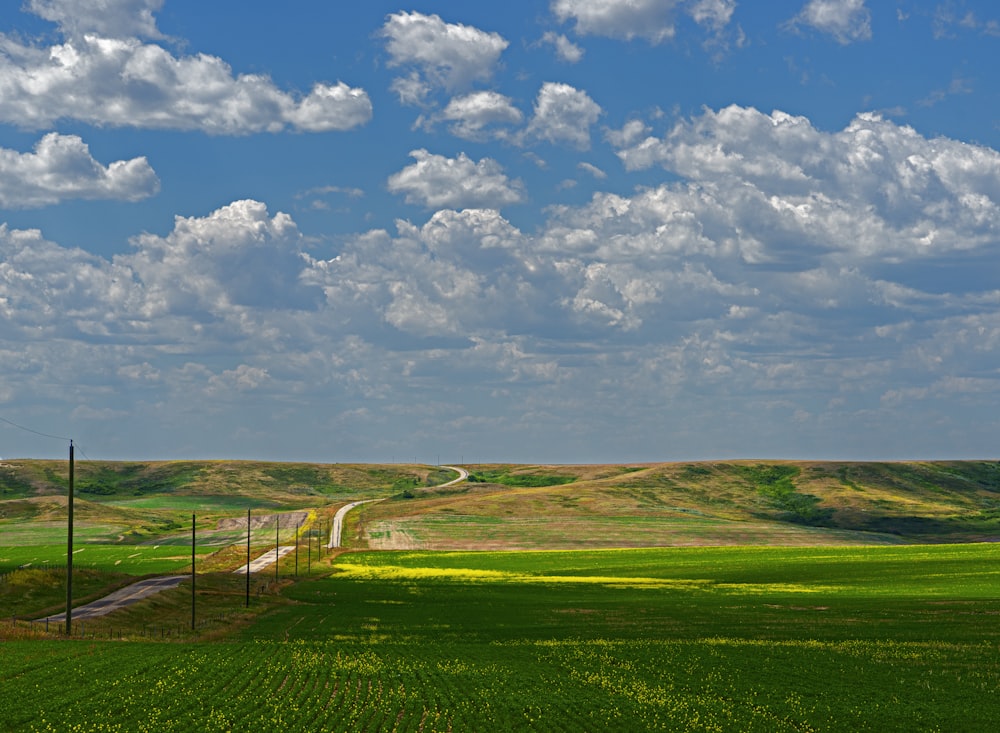 green grass field under blue sky and white clouds during daytime