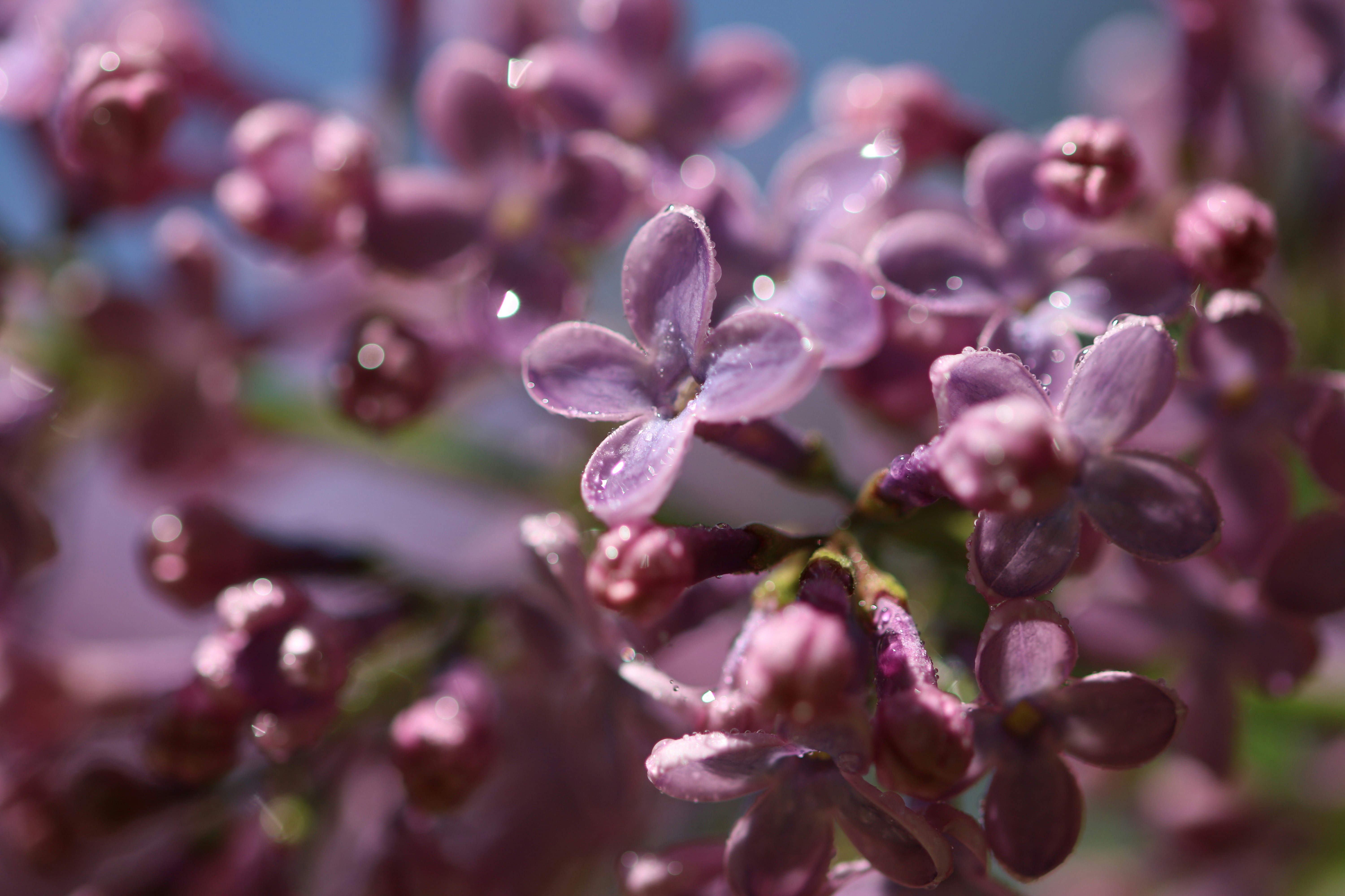 Photo by diemitdemuniontrikot