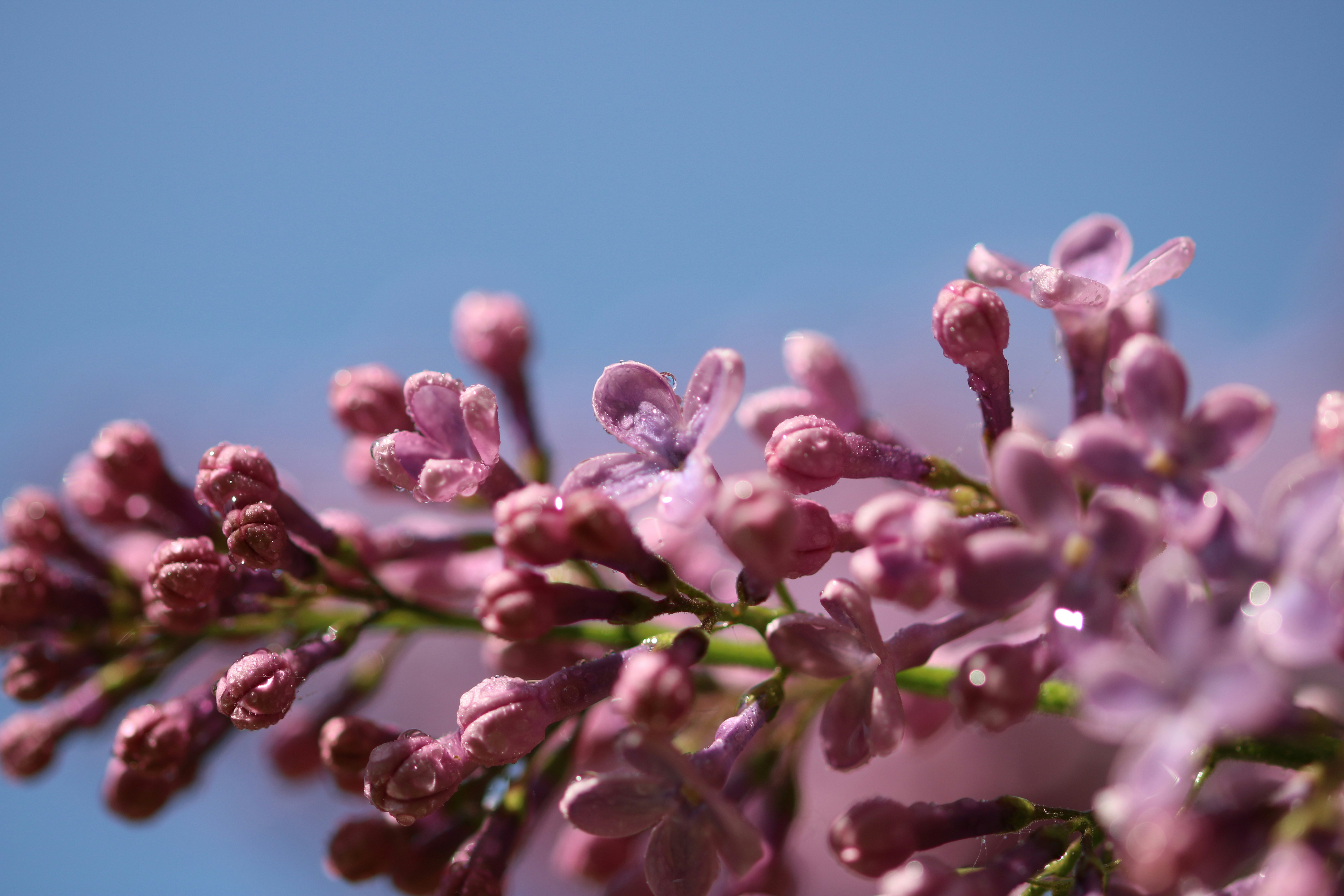 Photo by diemitdemuniontrikot