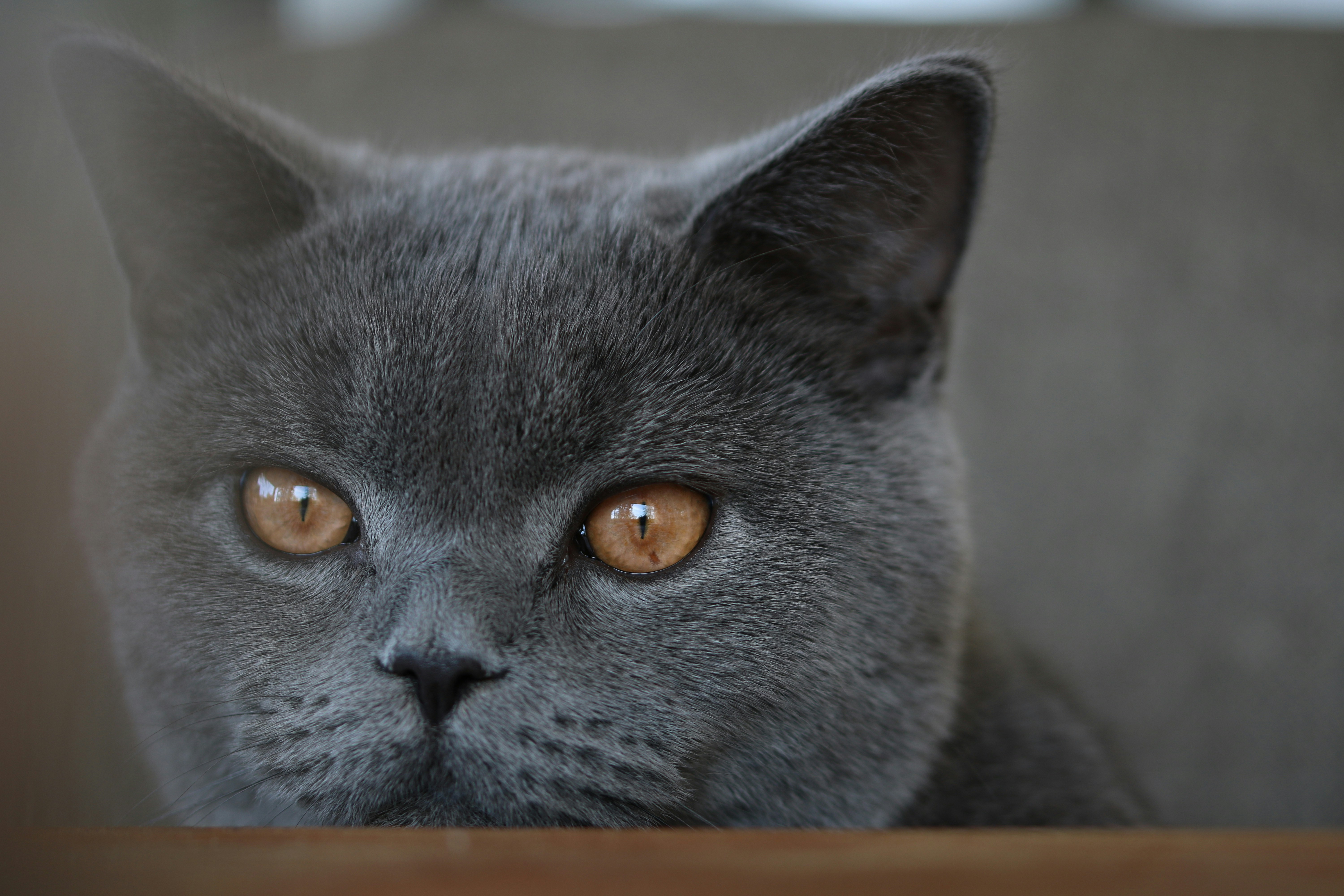 Photo by diemitdemuniontrikot