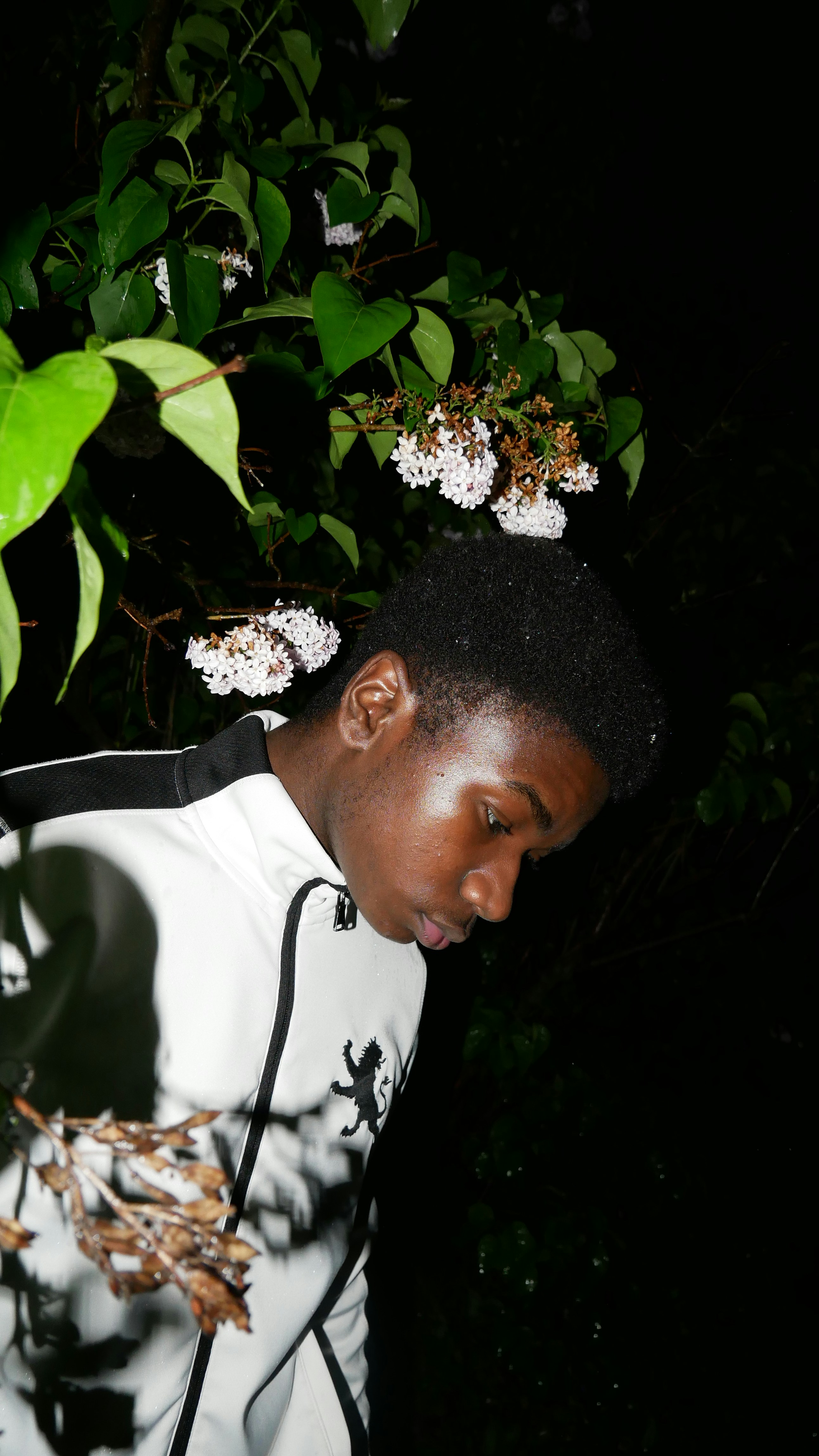 A man standing in front of a tree with flowers on his head photo – Free ...