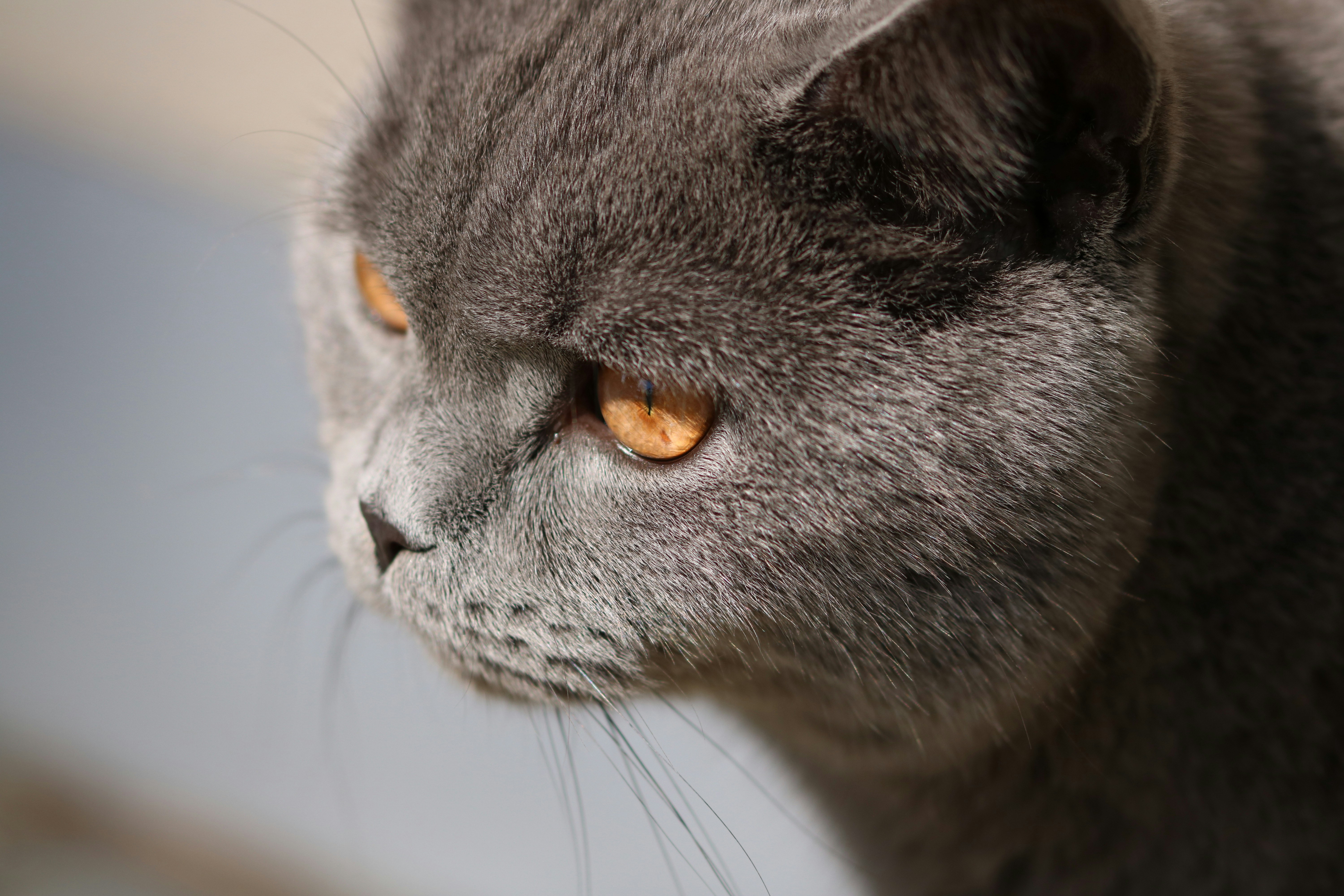 Photo by diemitdemuniontrikot