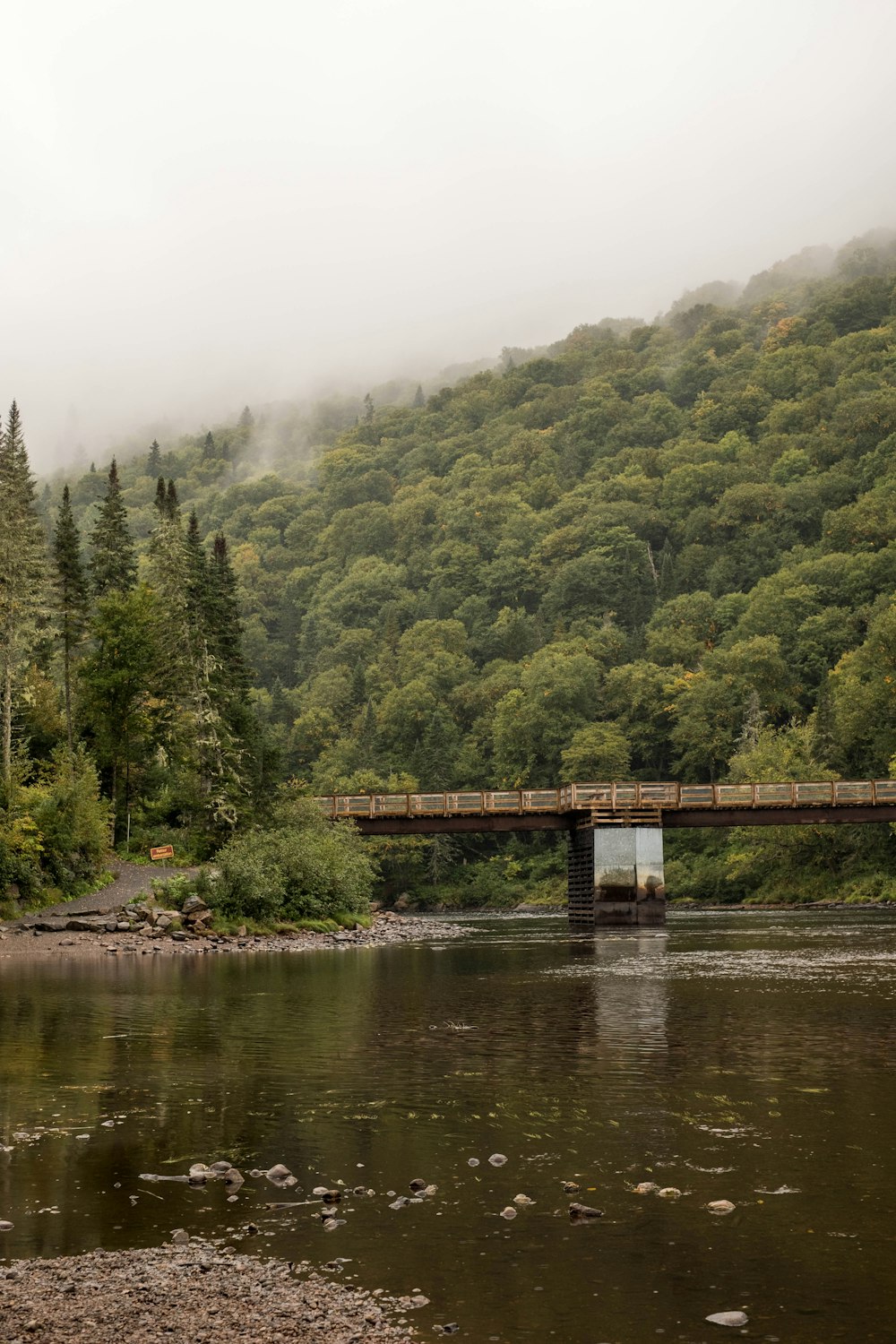 brown wooden bridge over river surrounded by green trees