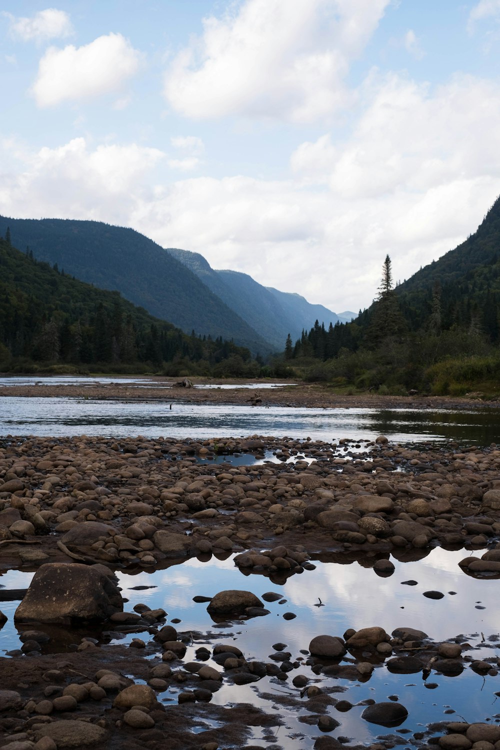 body of water near green trees and mountain during daytime