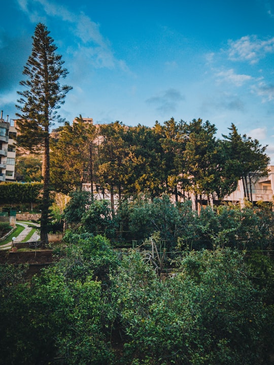 photo of Mansourieh Natural landscape near Martyrs Statue
