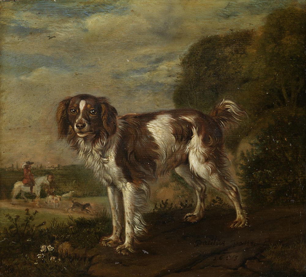 brown and white long coat medium dog painting