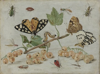 brown and black butterflies on green leaves