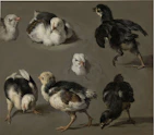 Healthy chicks pecking energetically in a clean, well-maintained brooder box.