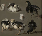 A group of lively gamefowl chicks exploring a sunlit pen with strong posture.