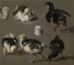 A small group of chicks exploring multiple perches at different heights with feed spots.