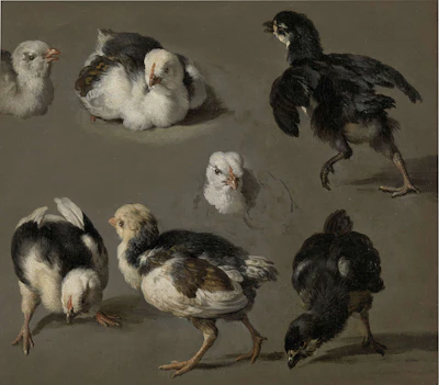 A small group of chicks exploring multiple perches at different heights with feed spots.