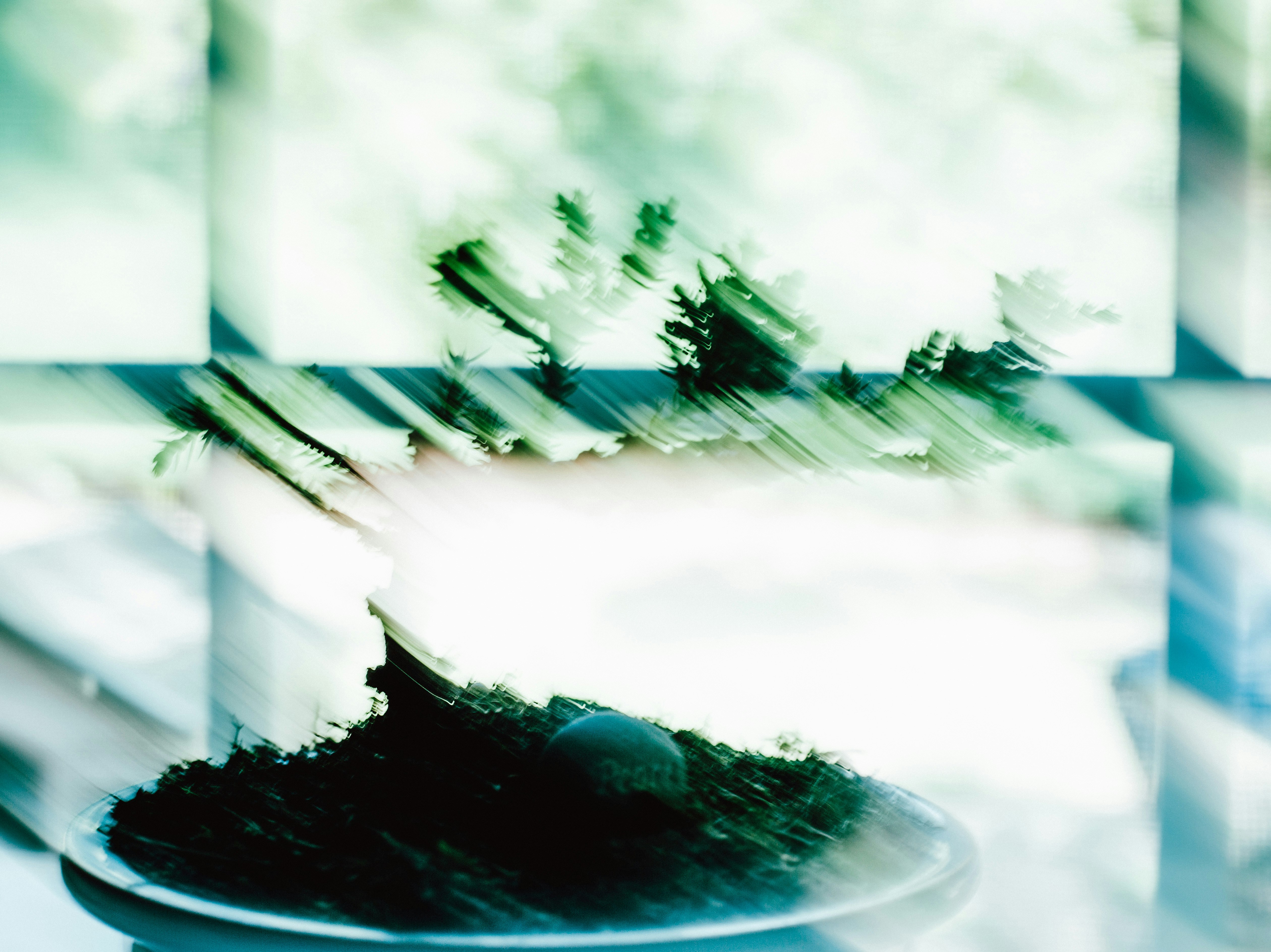 Photo by wait___what