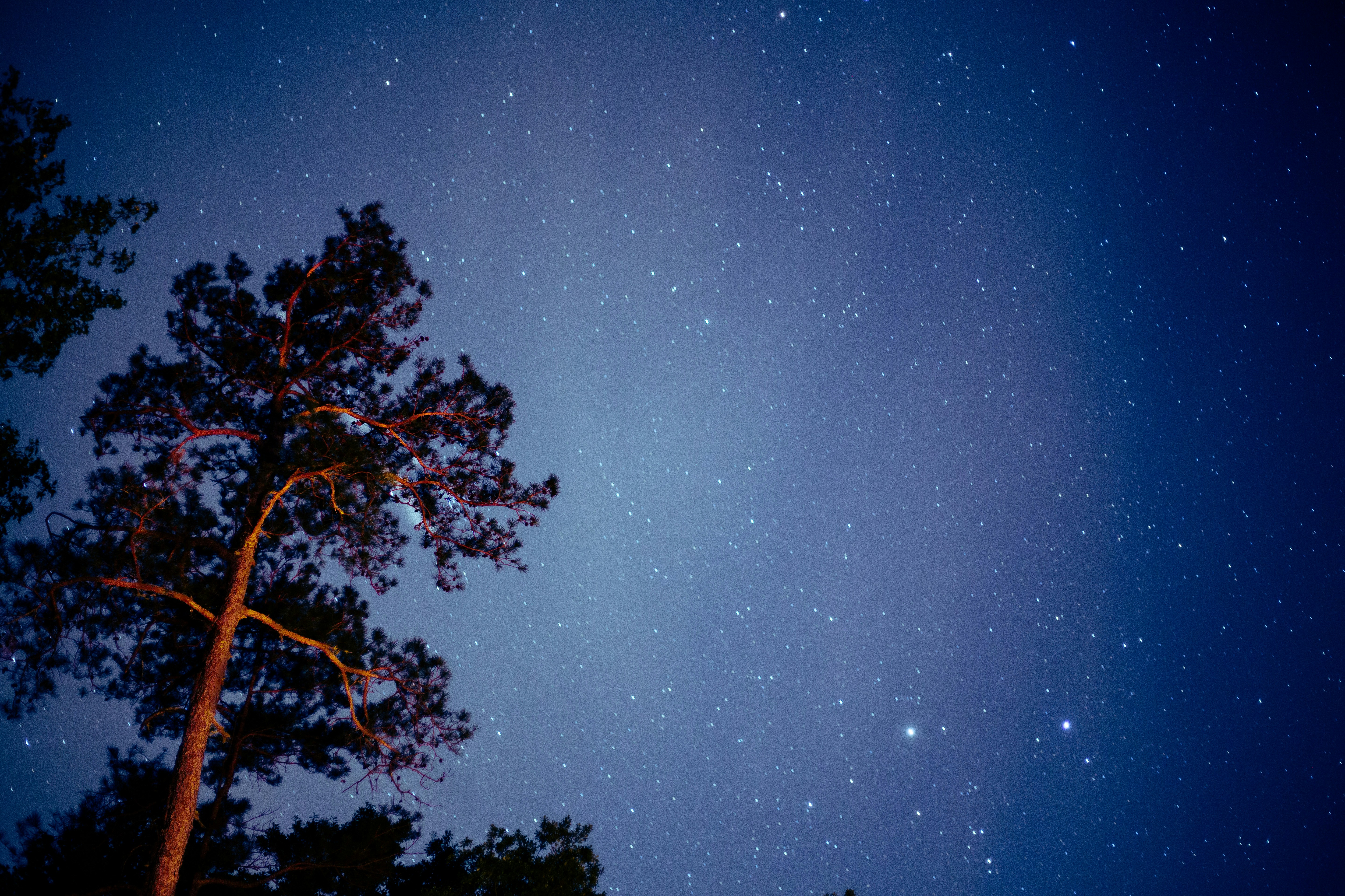 Photo by wait___what