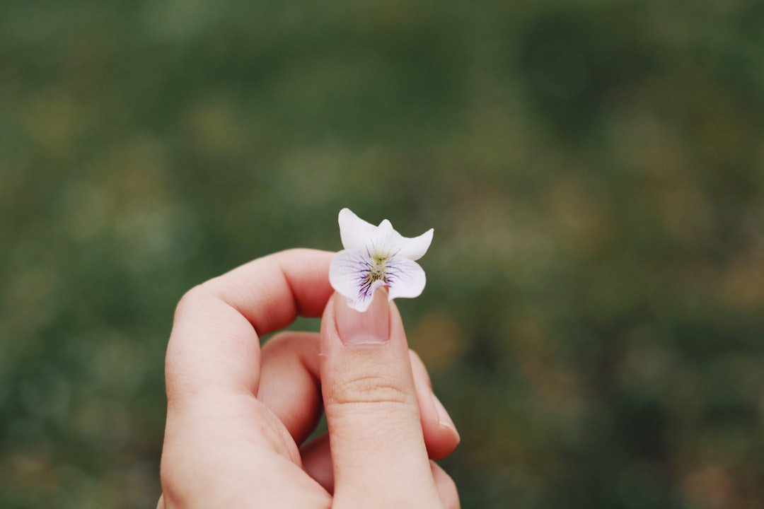 white flower on persons hand