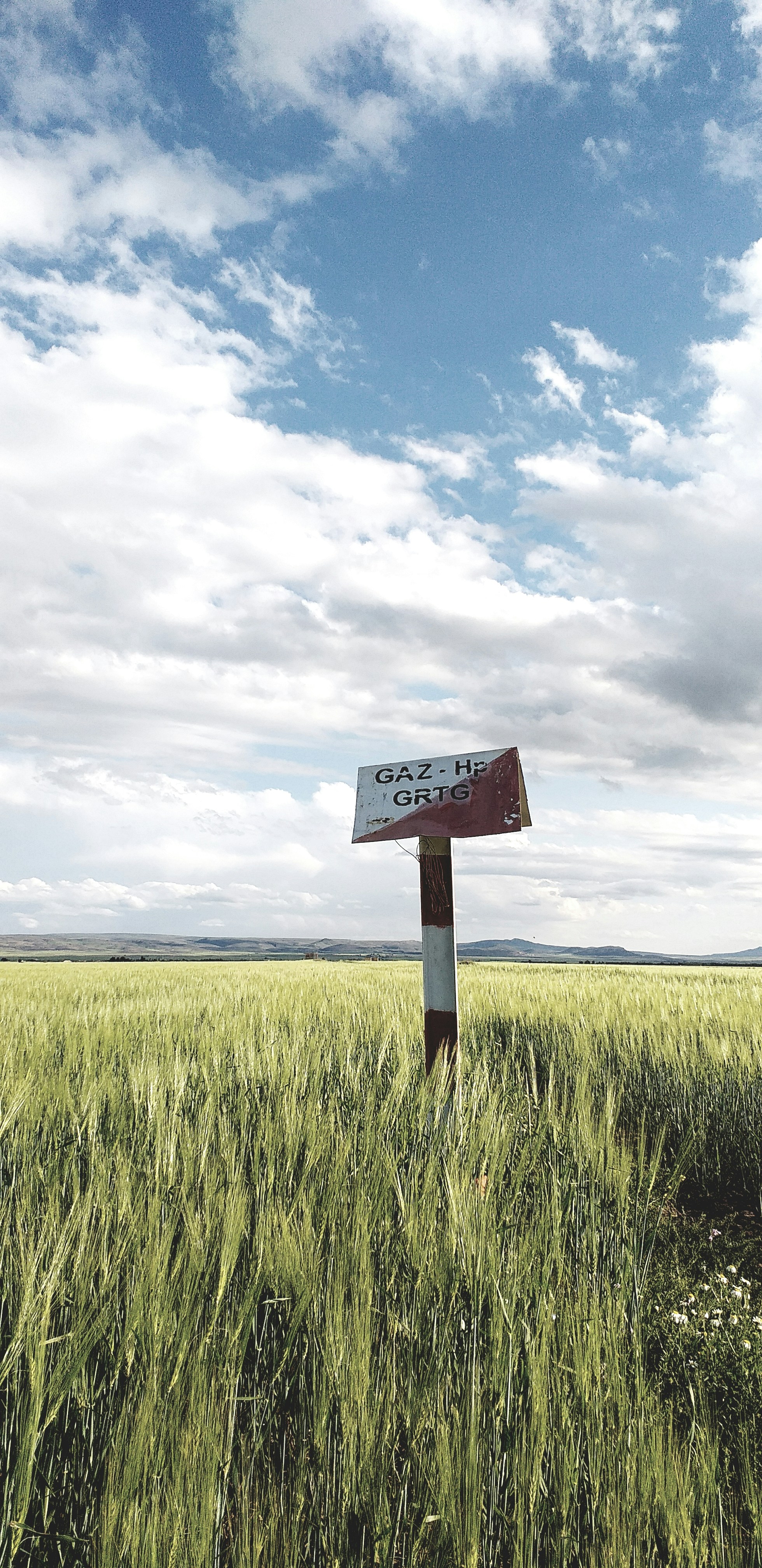 Photo by koningazraelxo