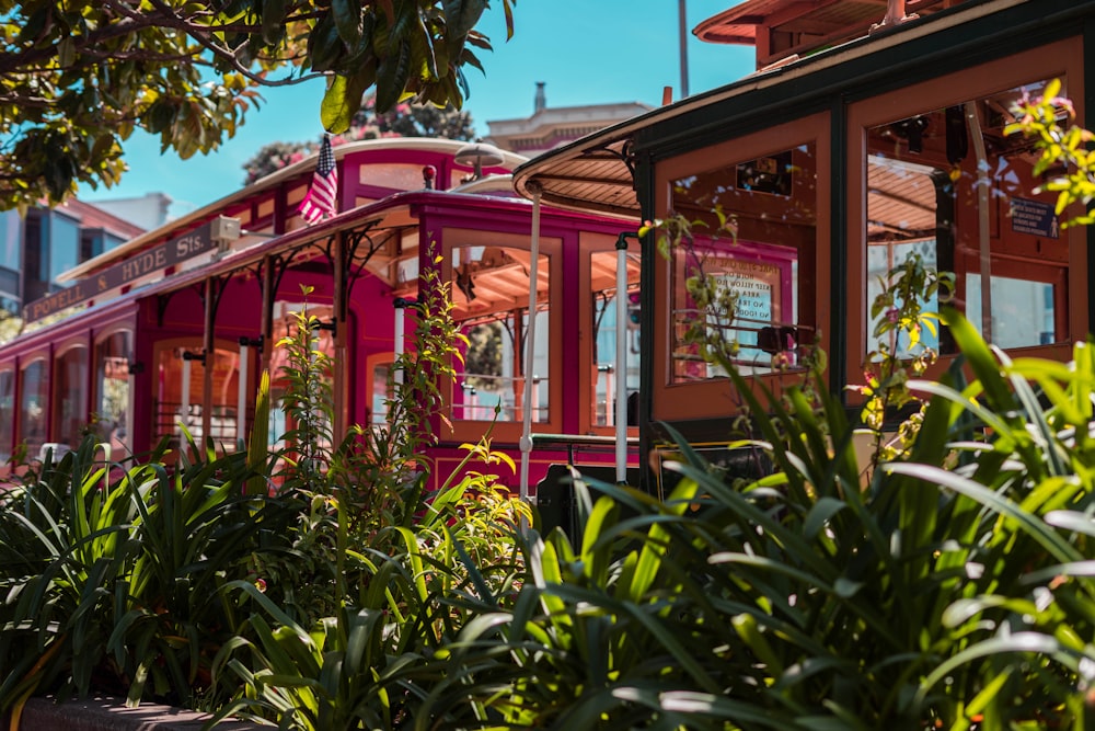 red and brown wooden building surrounded by green plants during daytime