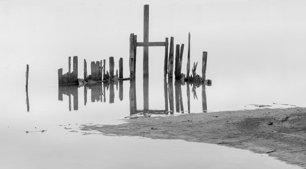 grayscale photo of wooden posts on sea