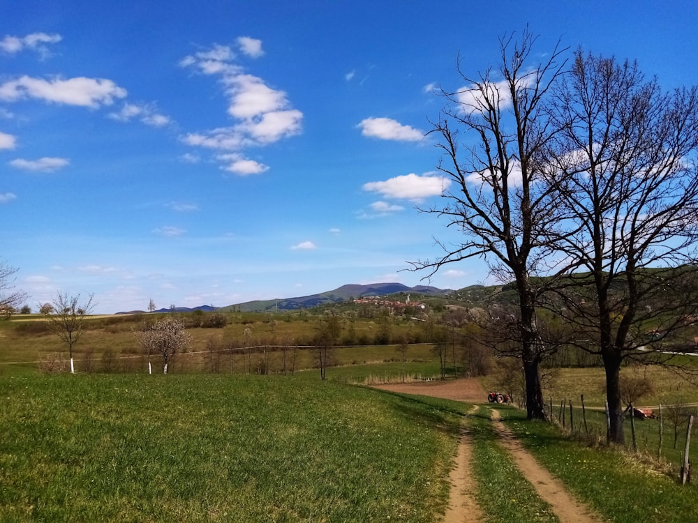 green grass field near brown mountain under blue sky during daytime