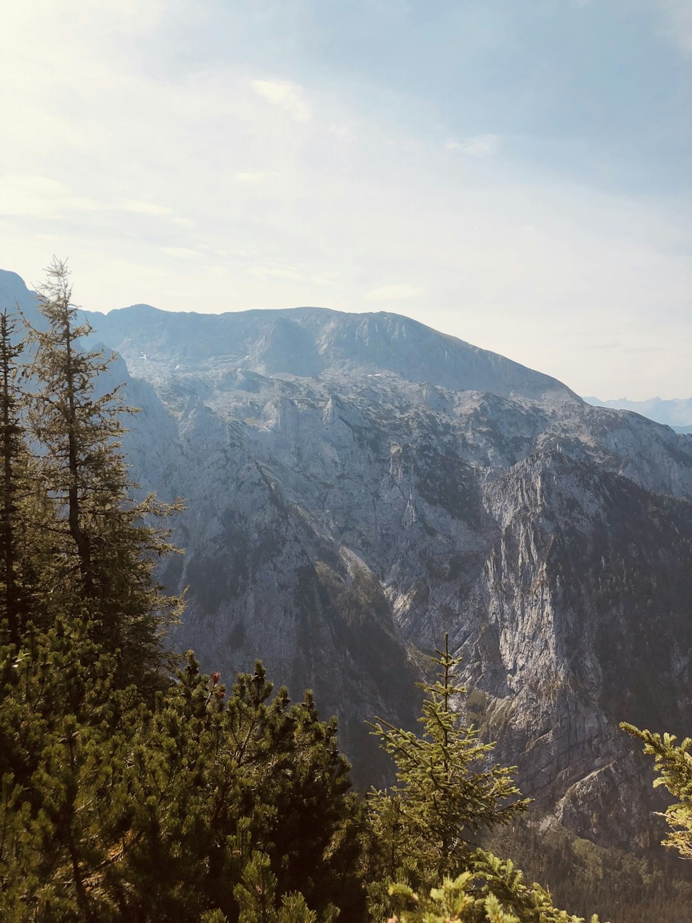 a view of a mountain range with trees in the foreground