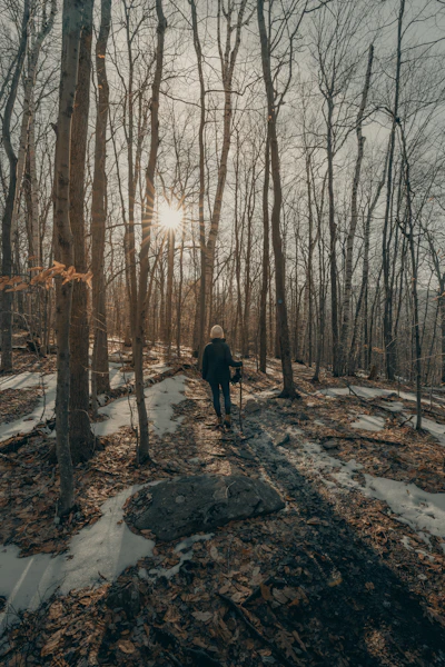 Online adult ADHD assessment for White Plains, NY