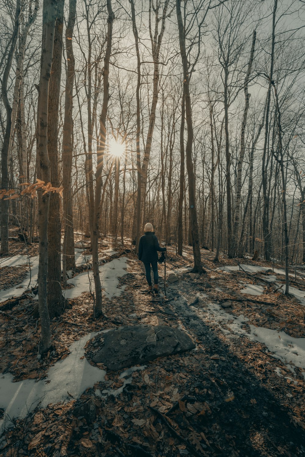 person in black jacket standing on snow covered ground in between bare trees during daytime