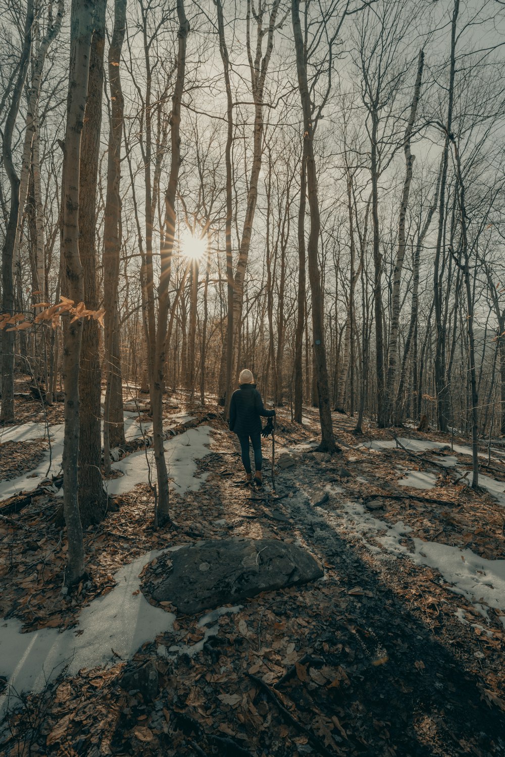 Person in schwarzer Jacke, die tagsüber auf schneebedecktem Boden zwischen kahlen Bäumen steht