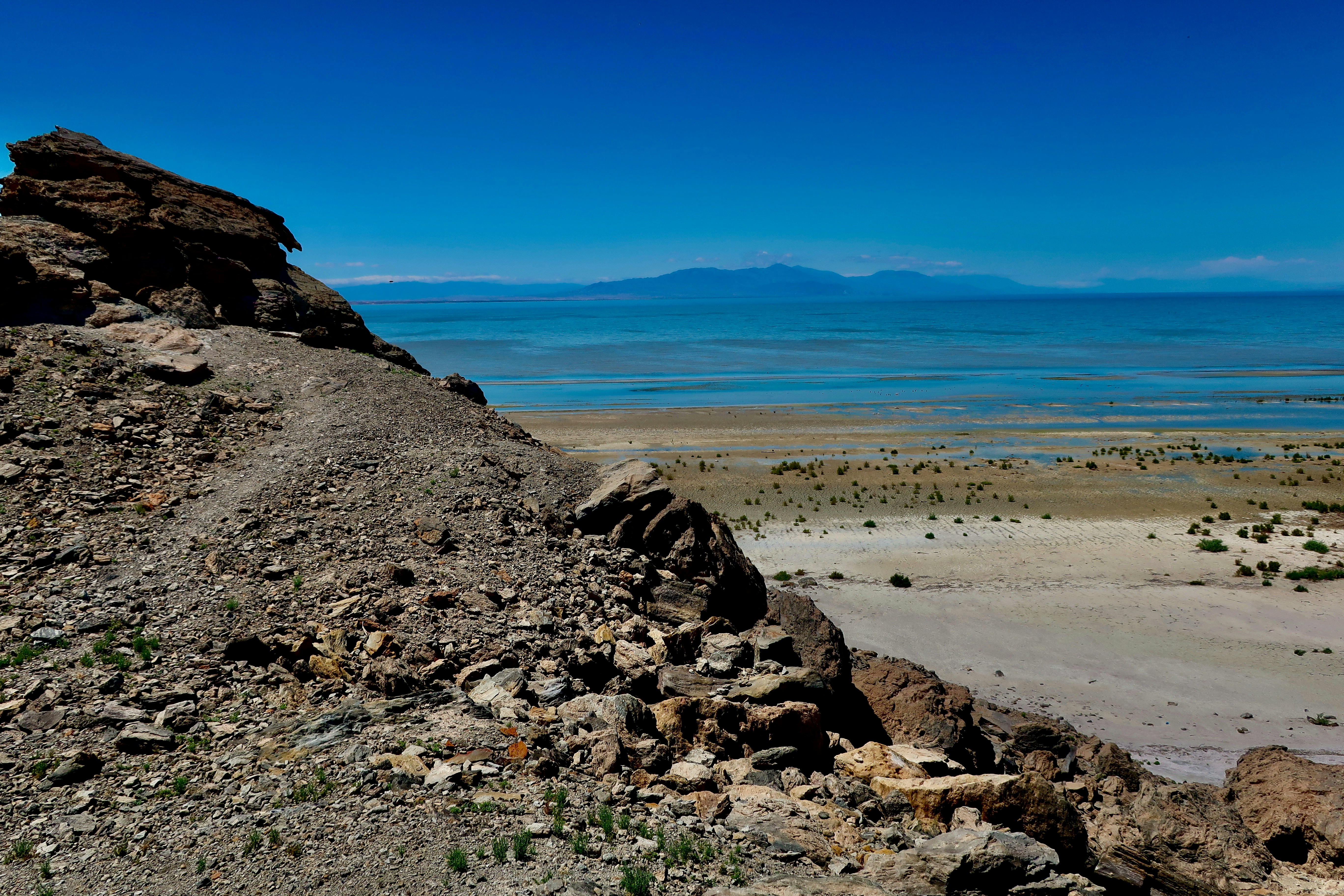 Photo by palmspringsdon