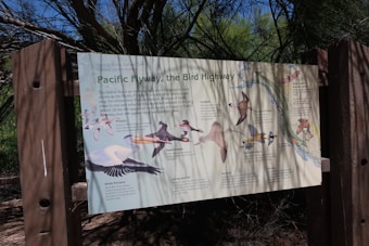 A large informational sign about the Pacific Flyway, featuring illustrations and descriptions of various bird species such as pintails, curlews, northern orioles, eared grebes, and white pelicans. The sign also includes a map detailing the migration routes along the western coast of North America. The background consists of dense green foliage and some wooden posts, indicating a natural setting.