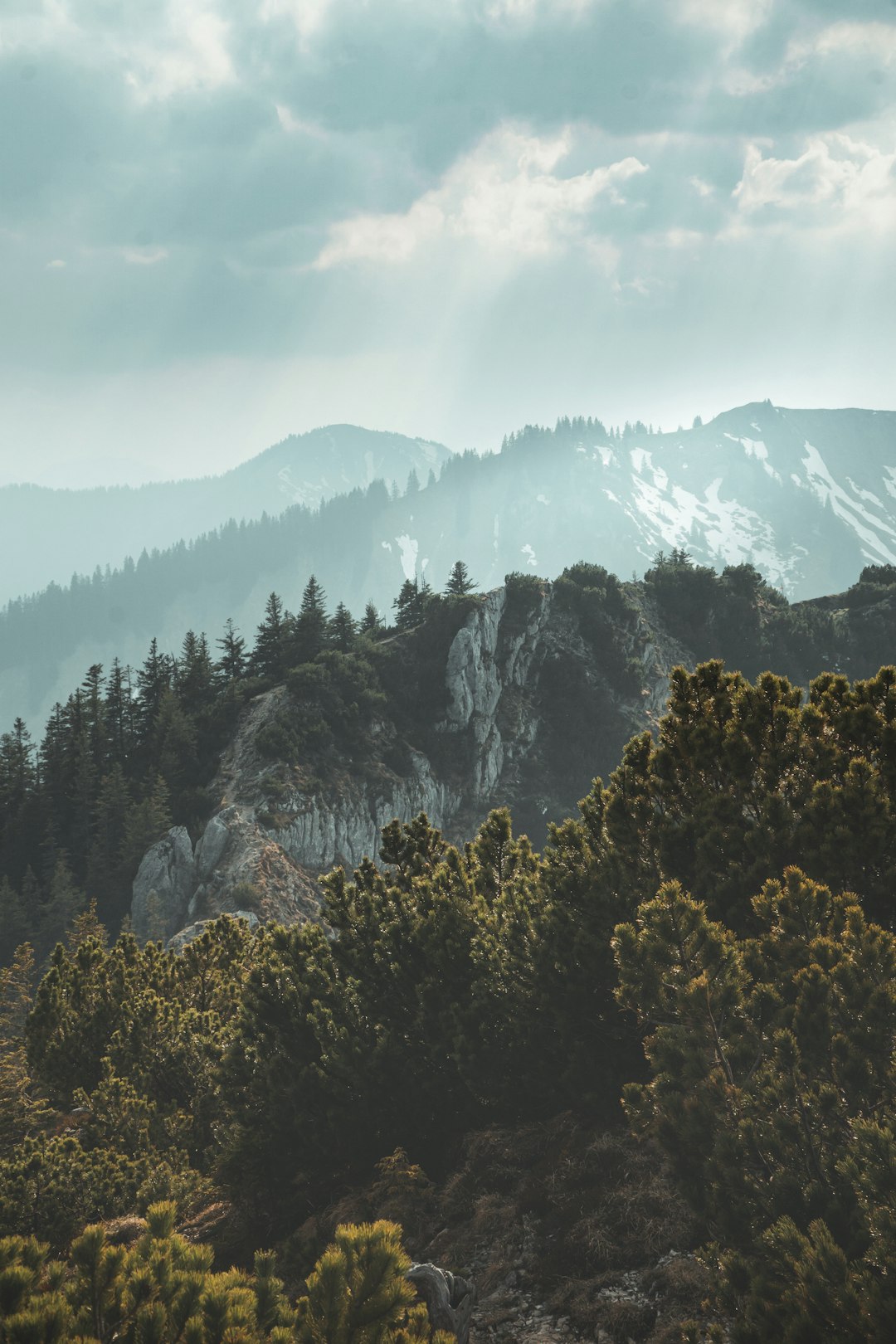 green trees near snow covered mountain during daytime