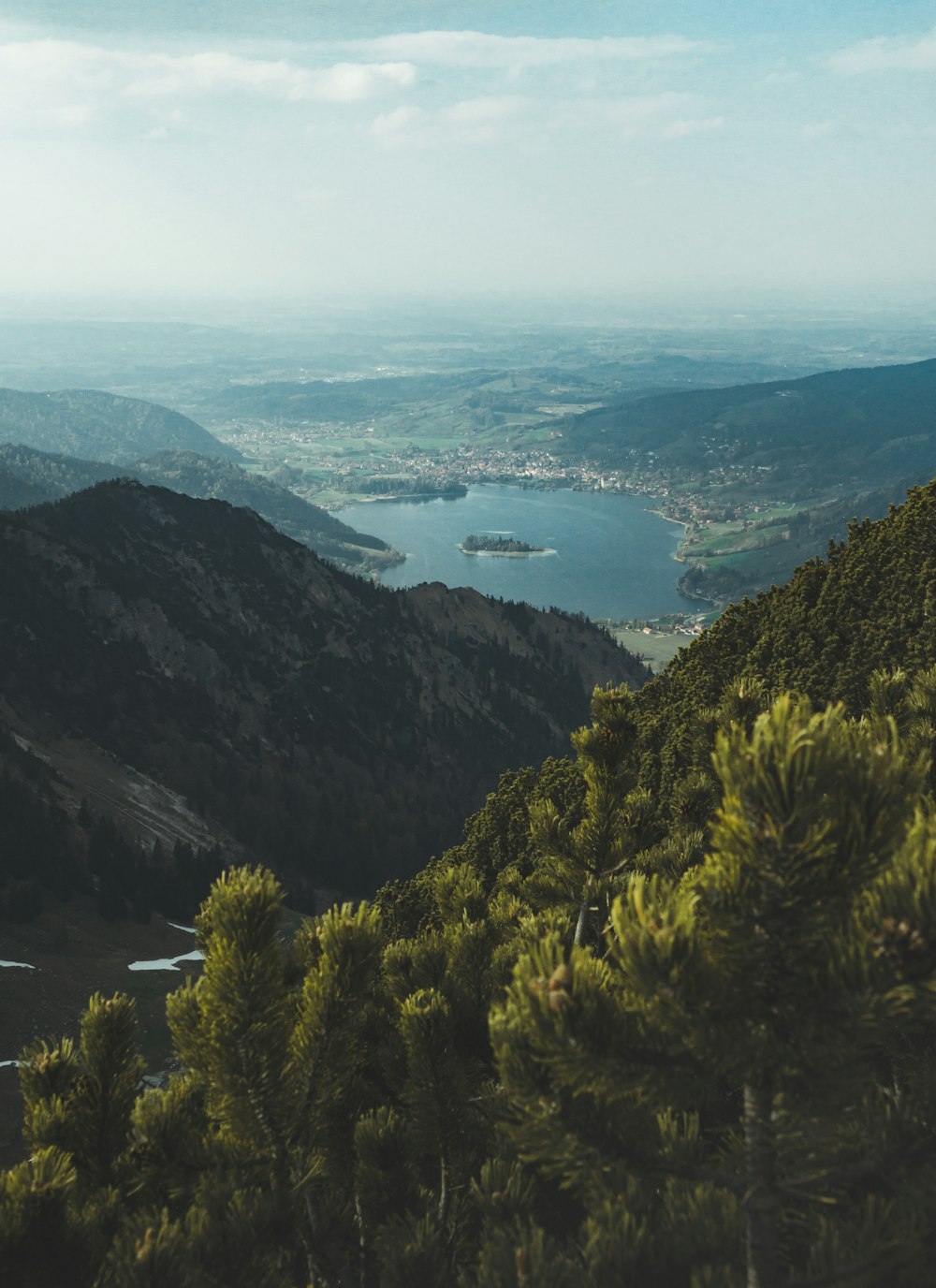 green trees on mountain during daytime