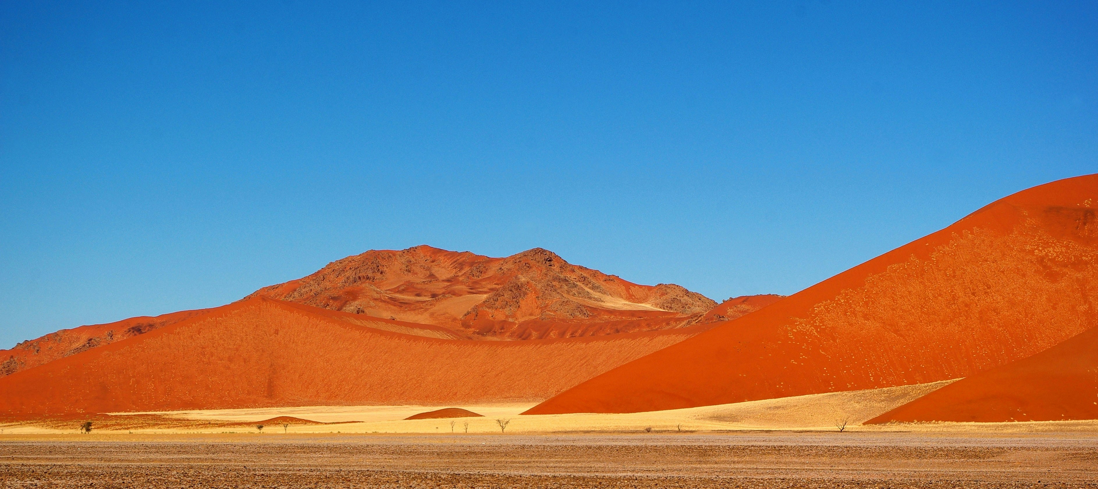 Photo by martina_stoecker