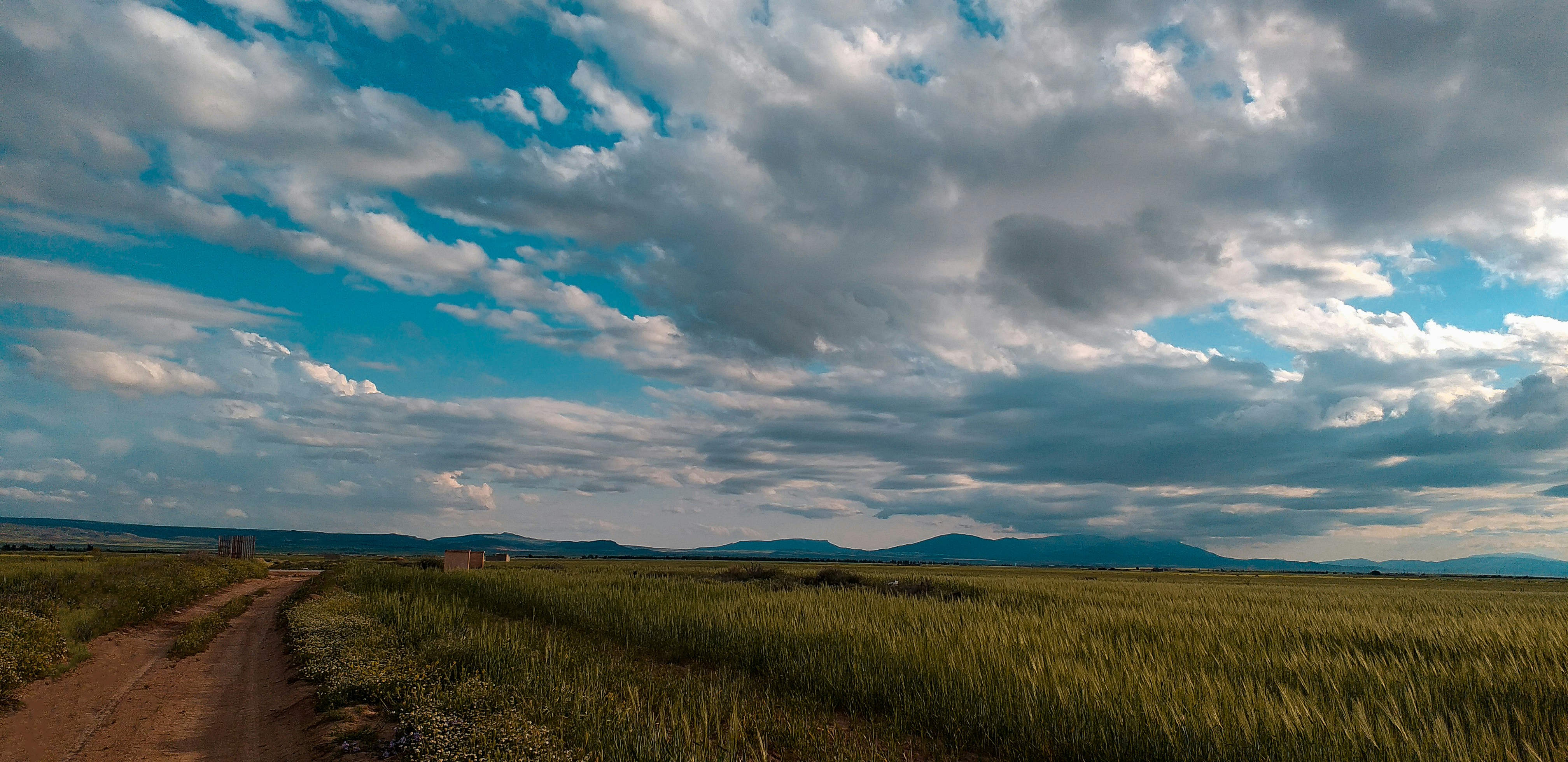 Photo by koningazraelxo