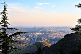 aerial view of city during daytime