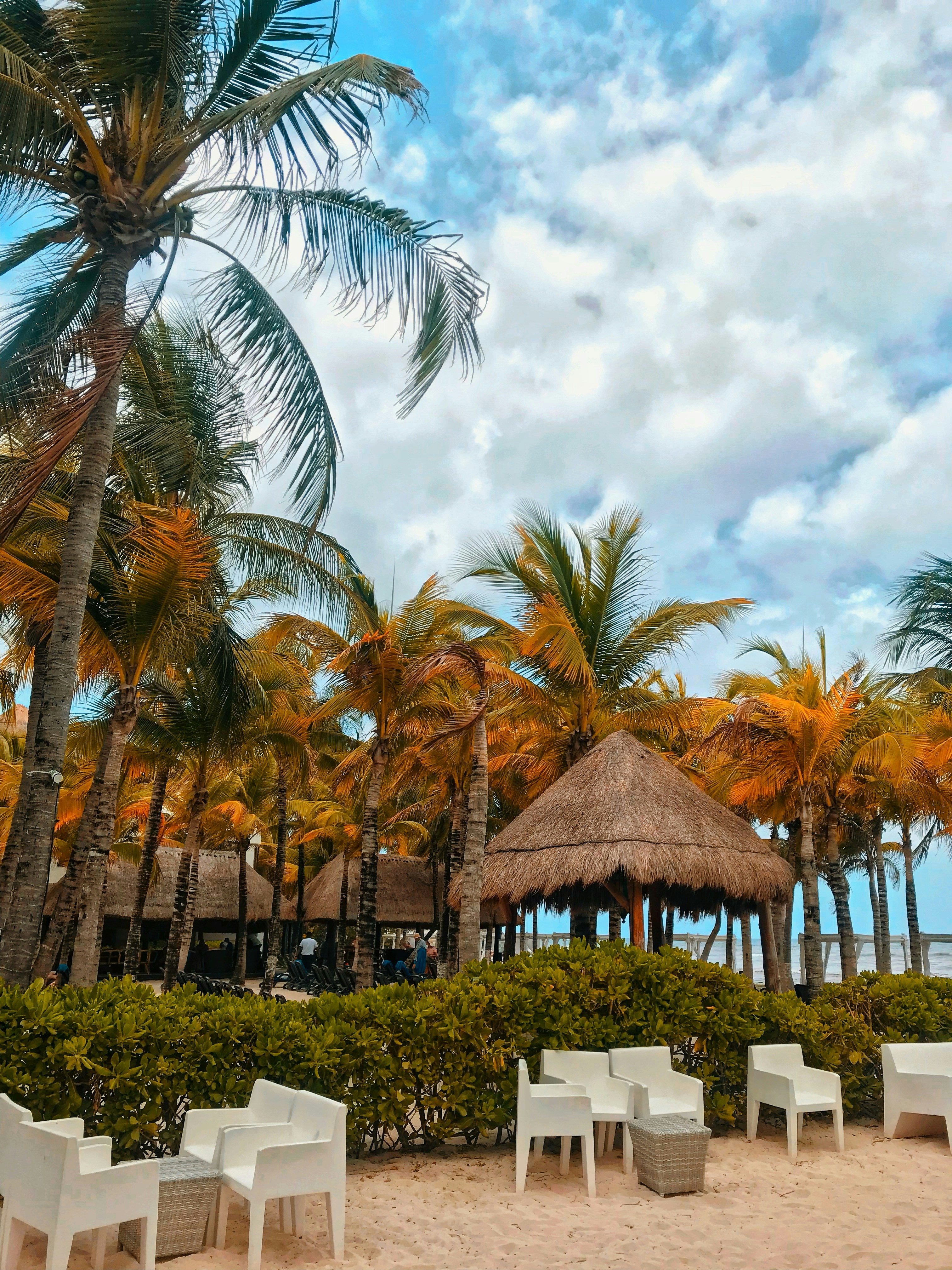 Tropical beach resort backdrop, ilustrasi artikel Dreamy Destinations: The Ultimate All-Inclusive Honeymoon Resorts 7