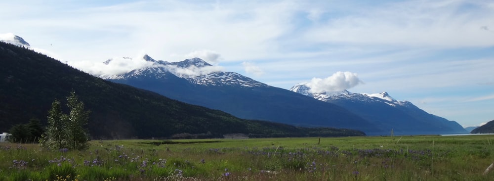 green grass field near mountain under white clouds during daytime