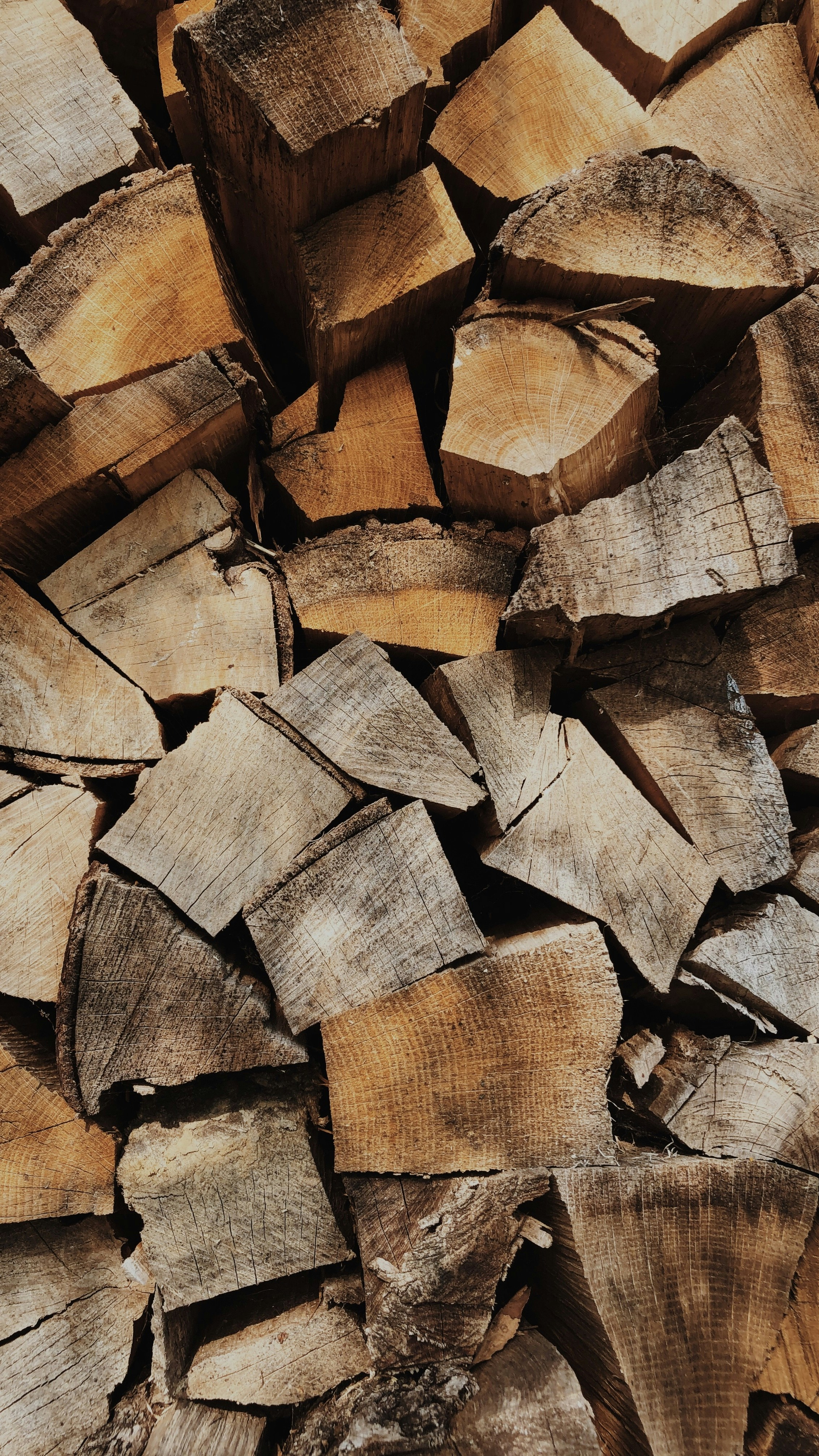 Photo by razvannfaur