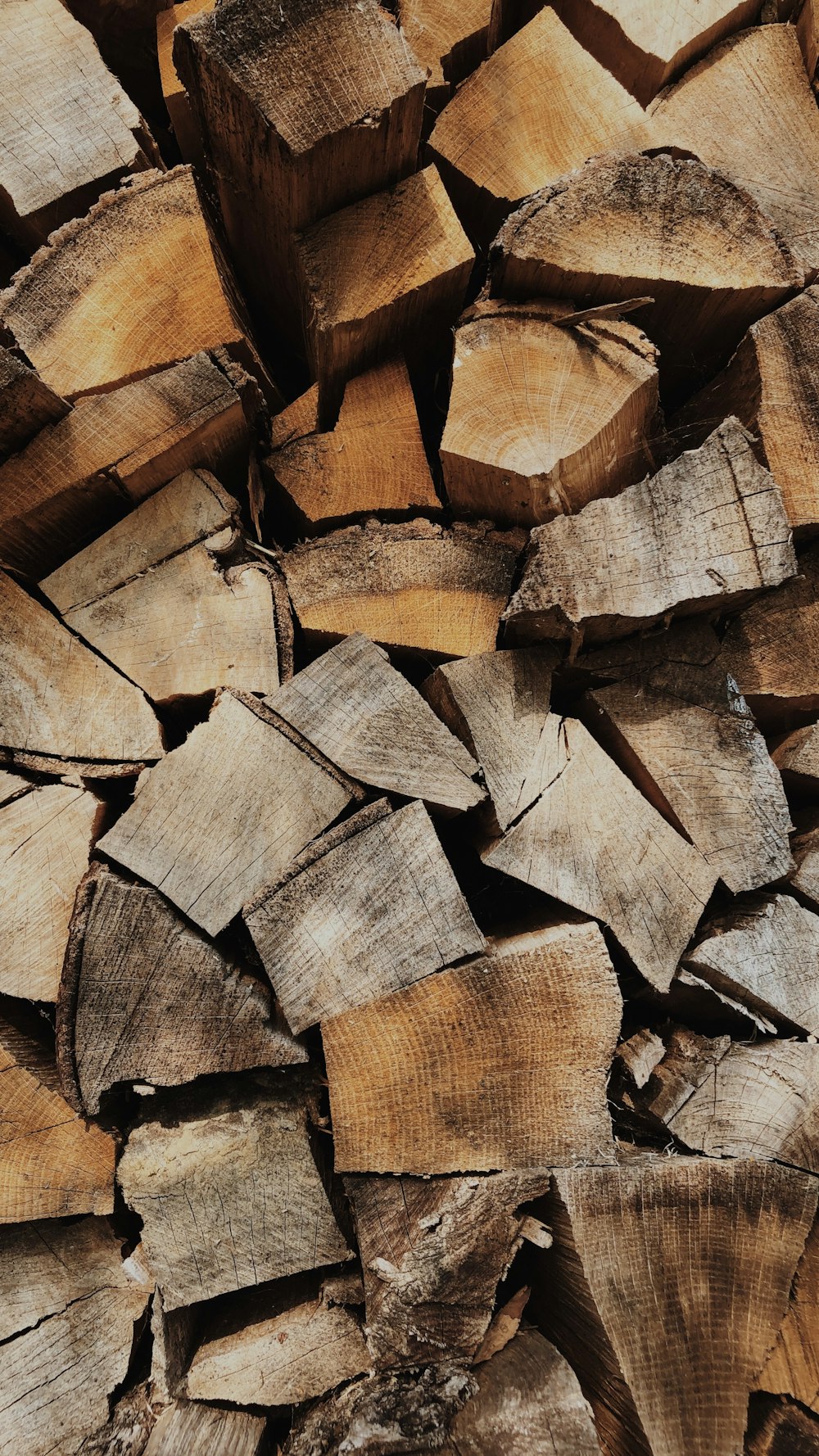 brown wooden logs on brown soil