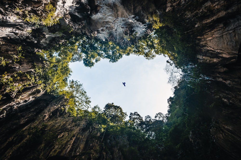 bird flying over river during daytime