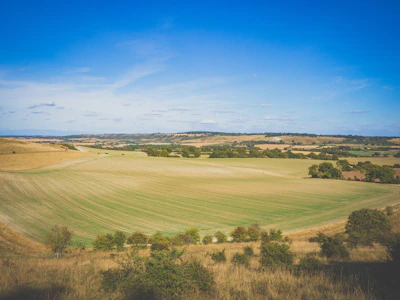 Expansive farmland with neat rows of crops under a clear blue sky.