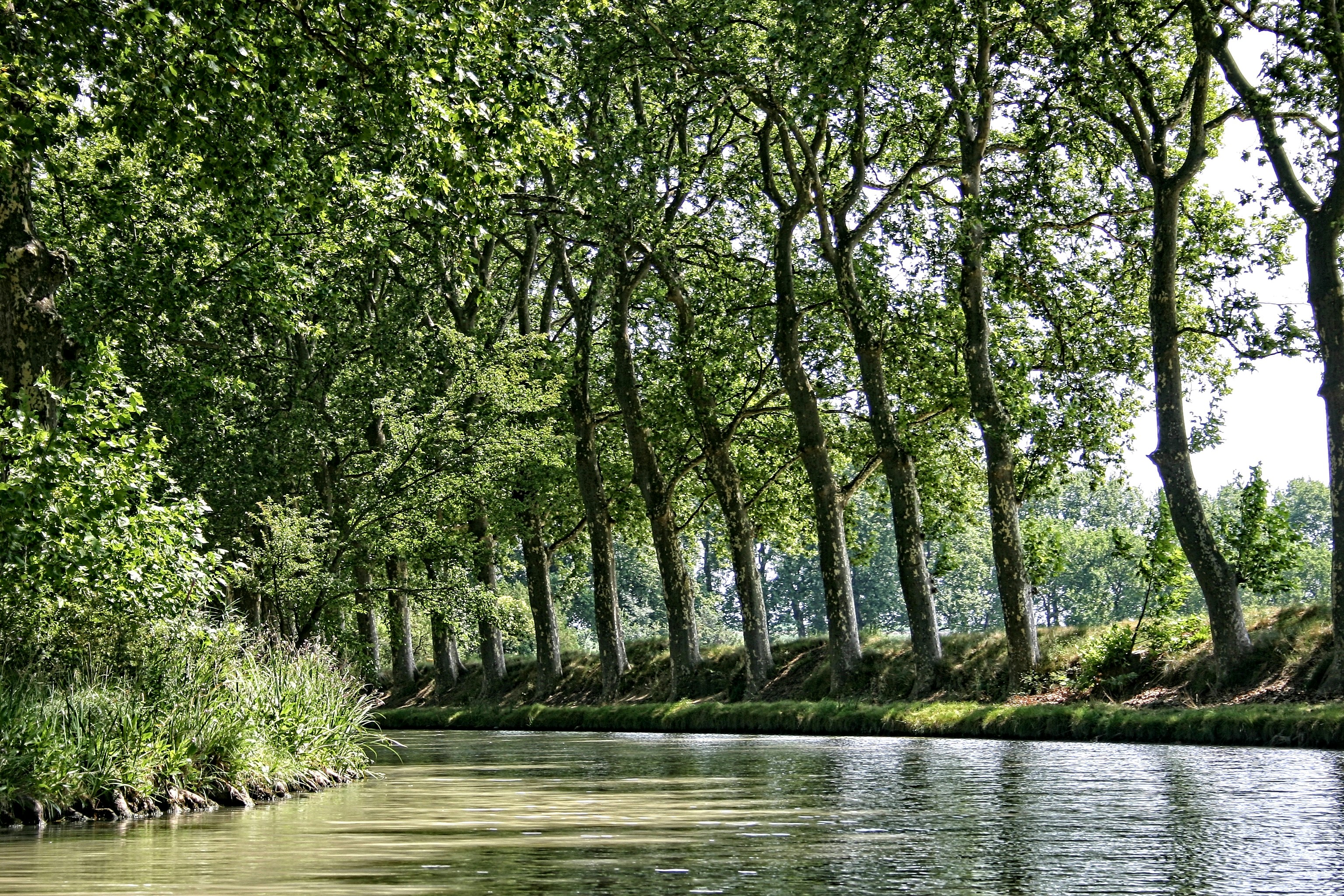 Canal du Midi photo 2