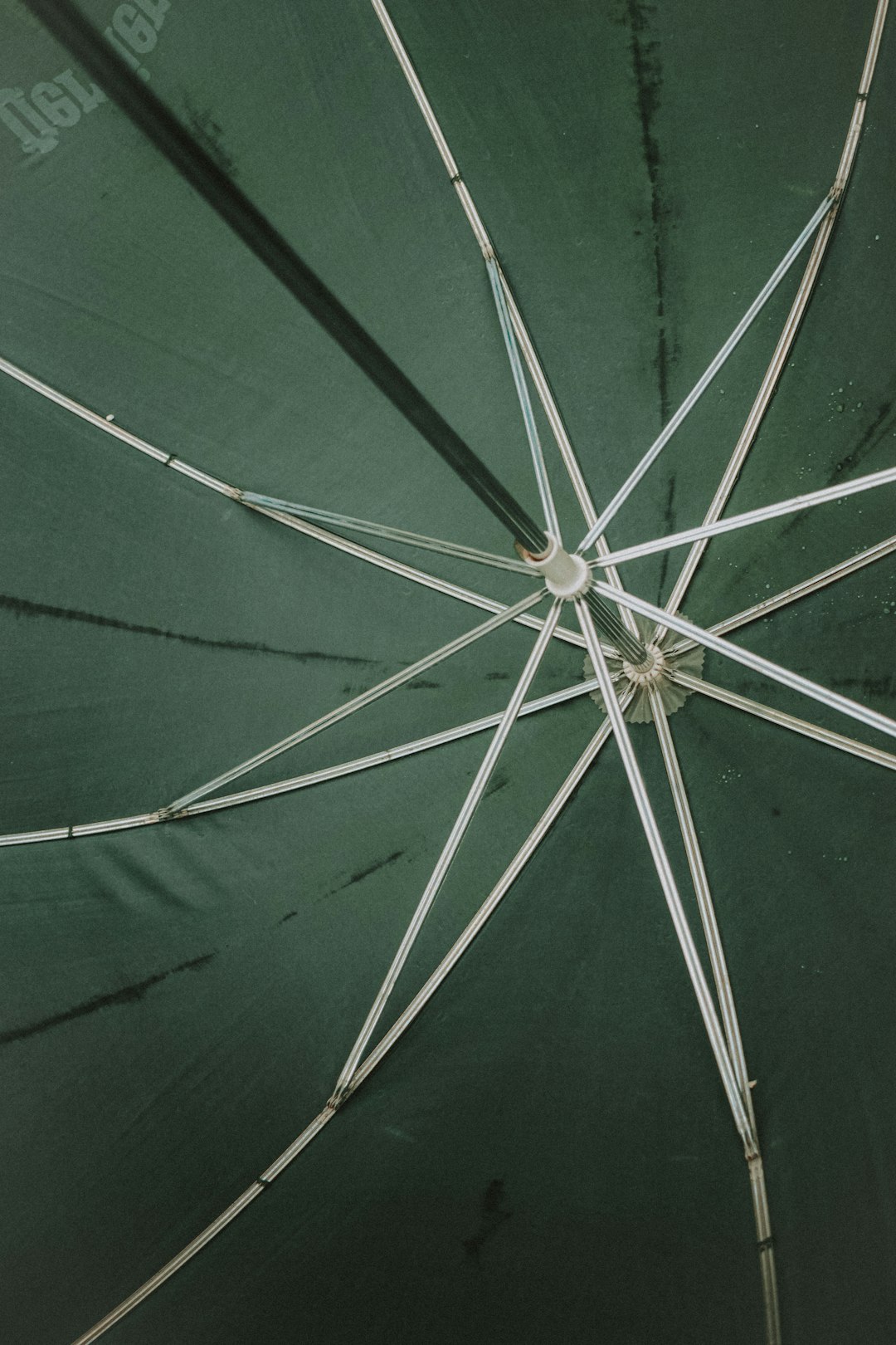 green umbrella with white light