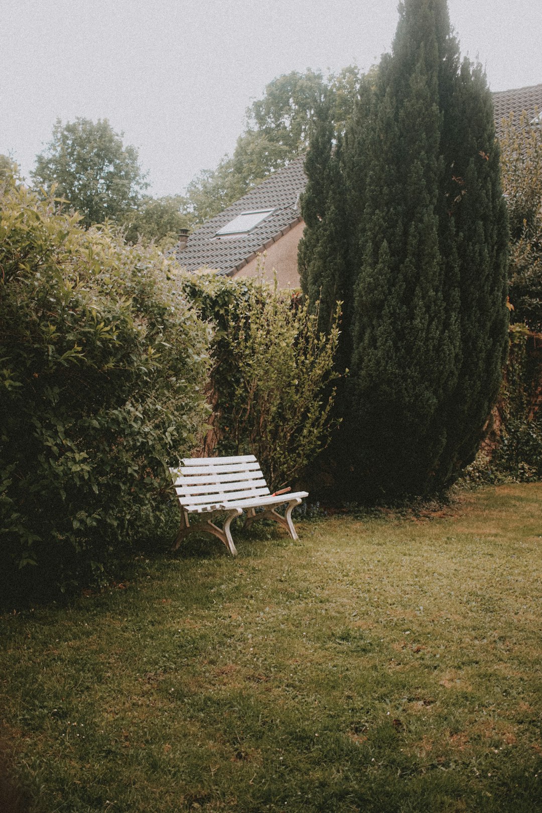 brown wooden bench beside green tree