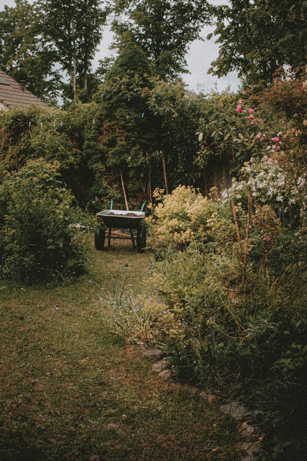 brown wooden bench near green and red leaf trees during daytime