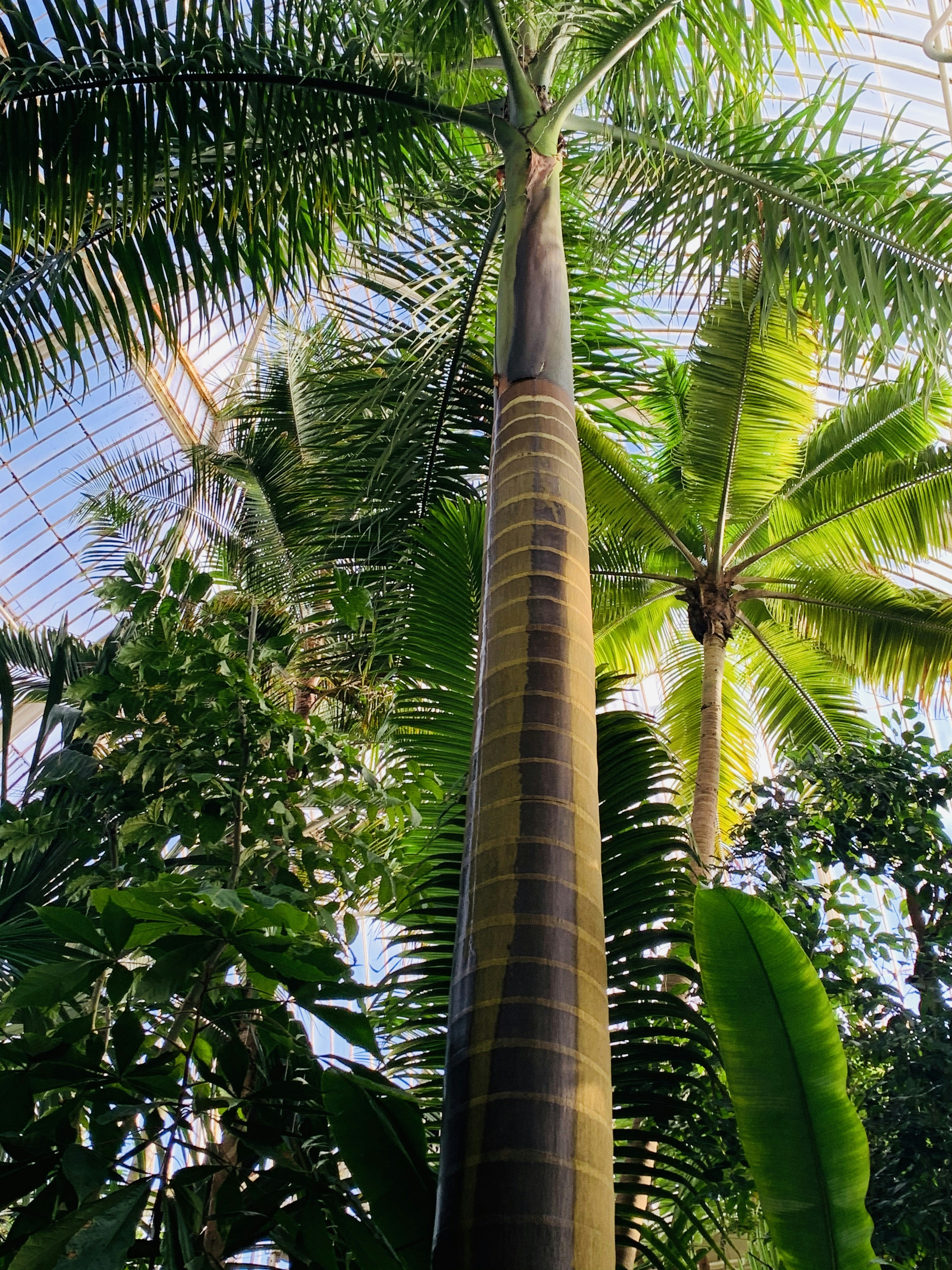 Photo by alfie_chapman